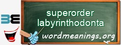 WordMeaning blackboard for superorder labyrinthodonta
